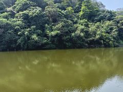 -李小龙乐园(顺德均安店)