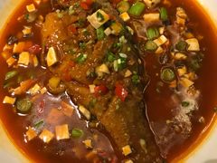 -青叶202都市餐厅(迪诺水镇店)