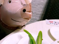 -WHEN PIGS FLY当猪飞