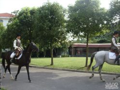 点击看大图 DSC00648-金庭庄园酒店彩虹厅