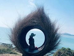 -漳州滨海火山岛自然生态风景区