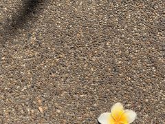 -查龙寺