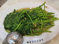 -长平老姿娘夜粥(平东一街店)