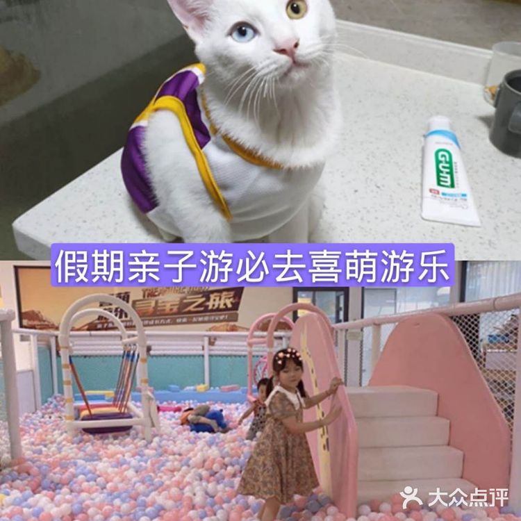 宠物乐园增长知识点[吐]