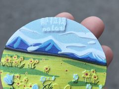 -西域阿里马新疆菜·清真(桂花路店)