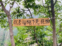 -十渡东湖港风景区