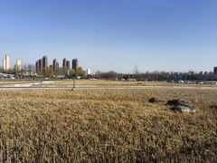 景点-西安浐灞国家湿地公园