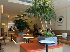 -Peet's Coffee皮爷咖啡(海雅缤纷城店)