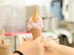 -歎雪糕低糖低脂Gelato冰淇淋
