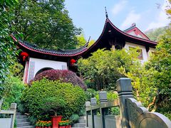 -十八棵（老龙井）御茶园(老龙井店)