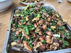 -铁山坪森林公园