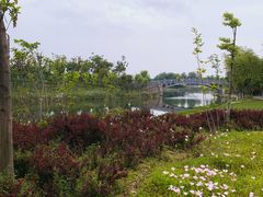 -尚贤河湿地