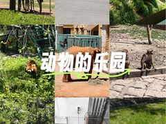 -哈尔滨北方森林动物园