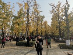 -百林公园-两江幸福广场