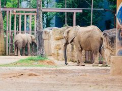 -杭州野生动物世界