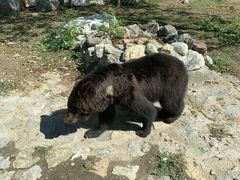 -石家庄市动物园