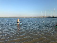 -碧海金沙