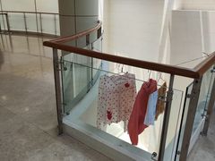 -上海中医药大学附属曙光医院(东部)