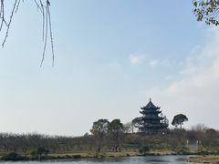 -上海海湾国家森林公园