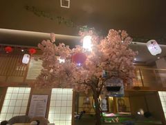-汤泉良子(金源店)