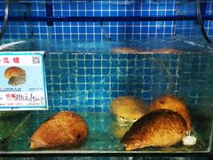 -范饭椰林川湘味海鲜·椰子鸡(三亚湾椰梦长廊店)