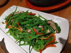 -云海肴·汽锅鸡·云南菜(高德置地店)