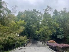 -敬亭山风景名胜区