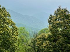 -青城山