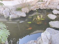 -南京市民俗博物馆(甘熙故居)