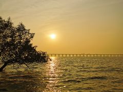 -宝安西湾红树林湿地公园