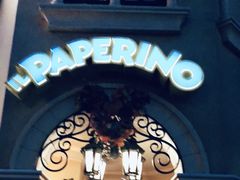 -IL paperino帕帕里诺冰激凌