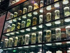 -广州神农草堂中医药博物馆