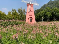 -顺峰山公园
