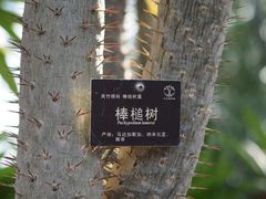 -北京植物园-展览温室