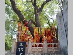 -大槐树寻根祭祖园