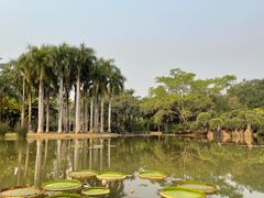 -中国科学院西双版纳热带植物园