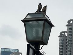 -石炮台公园