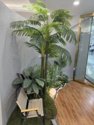 -八佰伴8008星级形象店