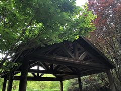 -春晖园度假酒店温泉