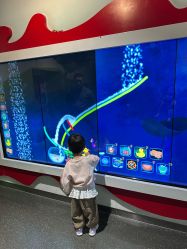 -北京科学中心儿童乐园