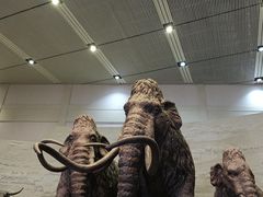 -大庆市博物馆