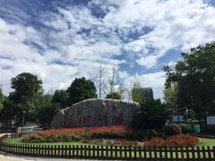 -南翔镇银翔湖公园