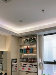 -碧莲盛·不剃发植发