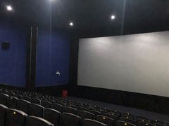 -幸福蓝海国际影城(上海三林店)