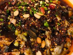 -铁公鸡·四川料理(天环广场店)