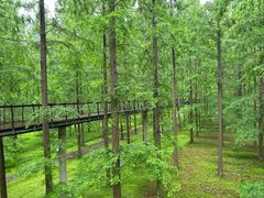 -黄海国家森林公园