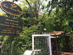 -Fern Forest Cafe