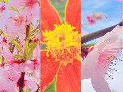 -南京金牛湖风景区