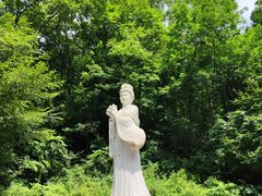 -天女山森林公园