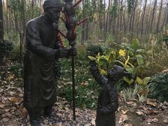 -合肥滨湖国家森林公园